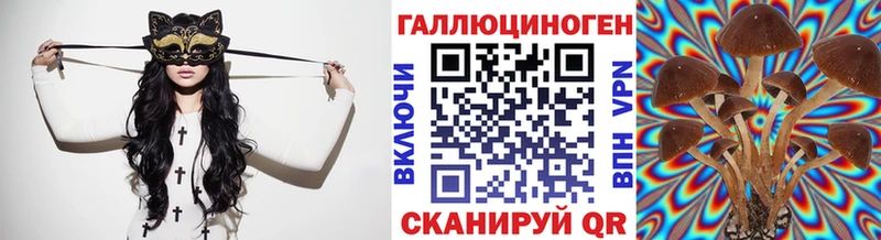 Купить  Кохма  Галлюциногенные грибы прущие грибы 